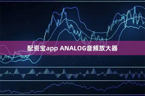 配资宝app ANALOG音频放大器