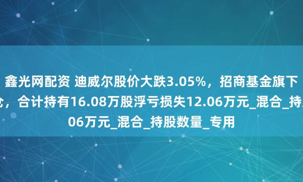 鑫光网配资 迪威尔股价大跌3.05%，招商基金旗下3只基金重仓，合计持有16.08万股浮亏损失12.06万元_混合_持股数量_专用