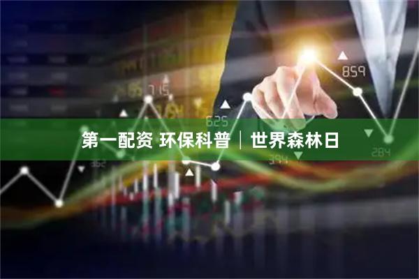 第一配资 环保科普│世界森林日