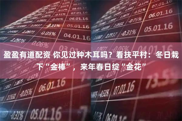 盈盈有道配资 你见过种木耳吗？看扶平村：冬日栽下“金棒”，来年春日绽“金花”
